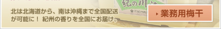 業務用梅干の卸売り・仕入れ