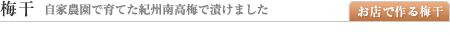 �ߴ��������䡦����