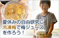 夏休みの自由研究に梅ジュースを作ろう