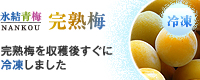冷凍梅(厳選完熟梅)販売・通販