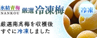 冷凍梅(南高青梅)販売・通販