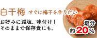 梅干し用梅「白干梅」
