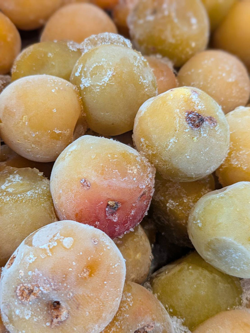 2025年(令和7年)の冷凍梅について 完熟梅