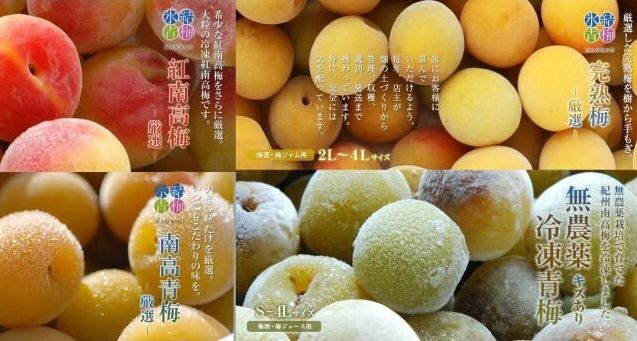 「冷凍梅はいかがでしょうか・・・」（令和7年１２月１７日）