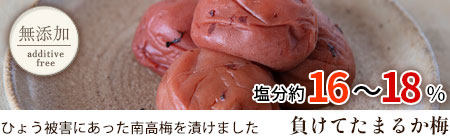負けてたまるか梅 梅干し