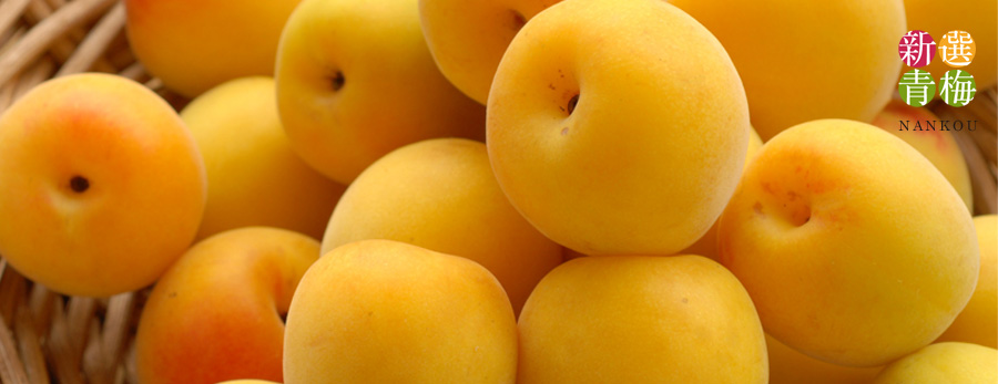 厳選完熟南高梅