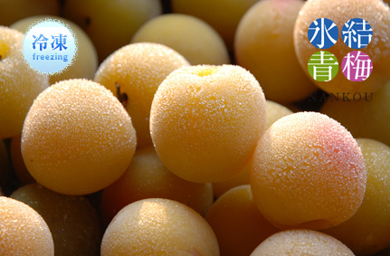 厳選完熟梅 冷凍梅