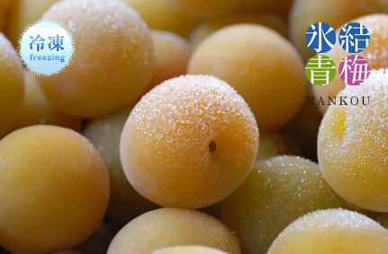 厳選南高梅 冷凍梅