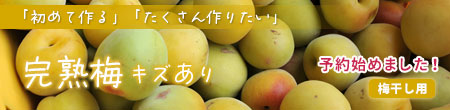 無選別完熟梅