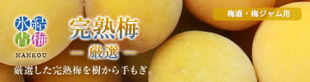 冷凍梅 厳選完熟梅