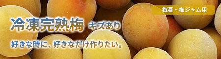 冷凍梅 キズあり完熟梅