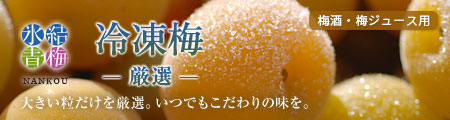 冷凍梅 厳選南高梅