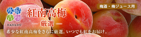 冷凍梅 厳選紅南高梅