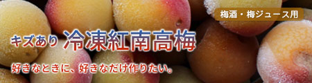 冷凍梅 キズあり紅南高梅