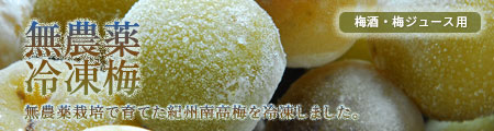 冷凍梅 無農薬梅