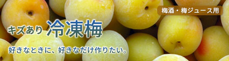 冷凍梅 キズあり南高梅