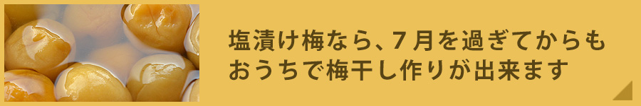 梅干し用梅「塩漬け梅」