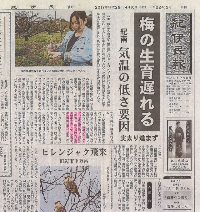 紀伊民報170416