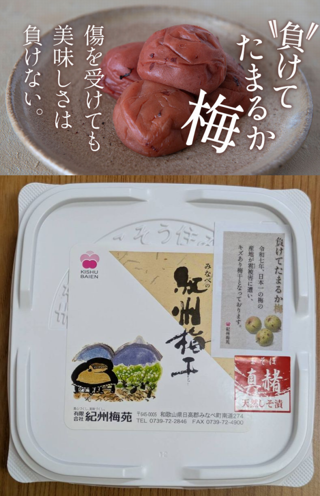 負けてたまるか梅