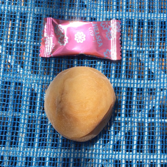 天日干し202207002