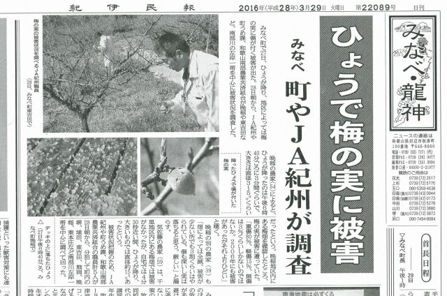 新聞記事ひょう被害2016.3.28