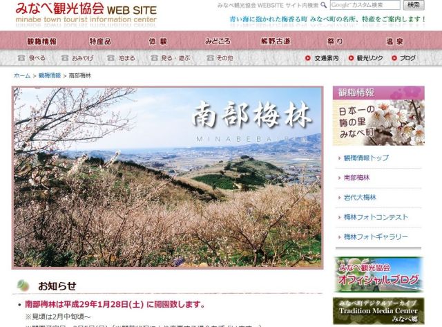 南部梅林オープン
