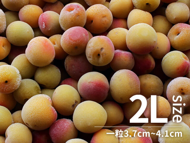 冷凍梅 キズあり紅南高梅 2Lサイズ