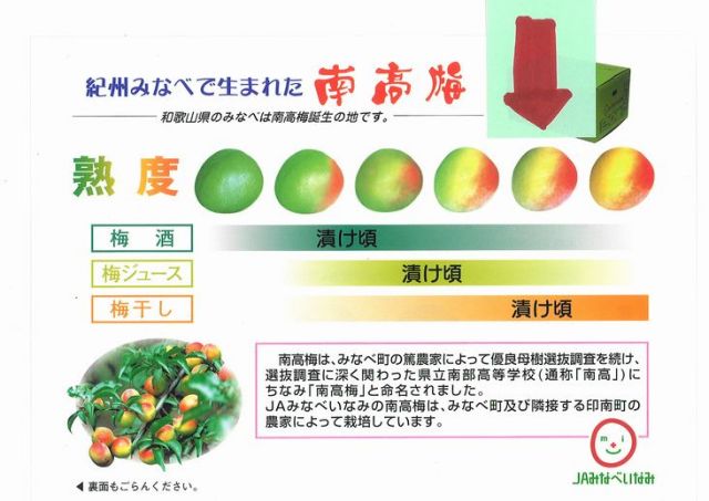 梅の表完熟