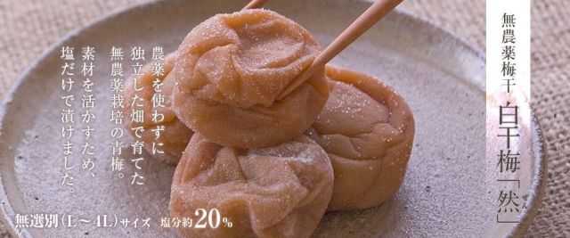 無農薬梅干然