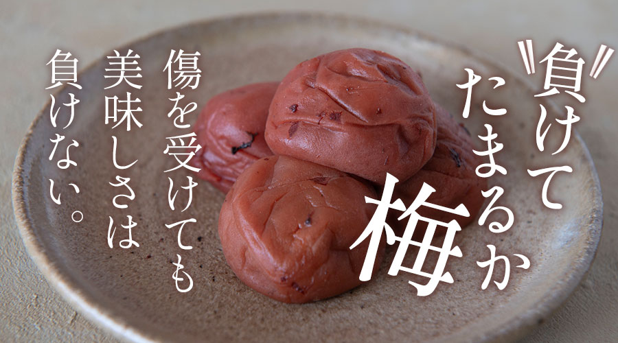 負けてたまるか梅