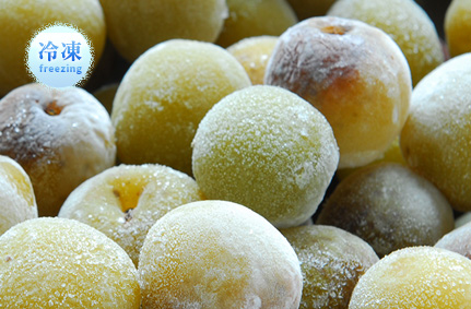 無農薬梅 冷凍梅