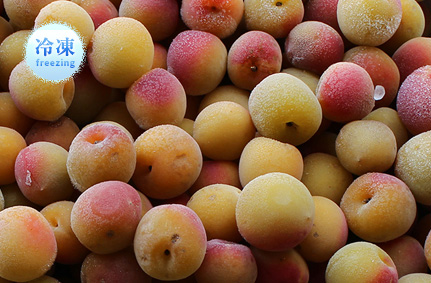 キズあり紅南高梅 冷凍梅