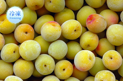 キズあり南高梅 冷凍梅