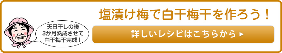 塩漬け梅で作る白干梅干の作り方