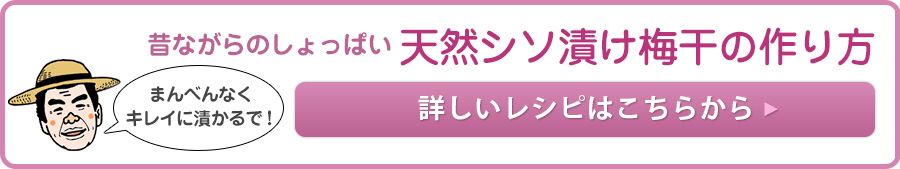 天然シソ漬け梅干の作り方