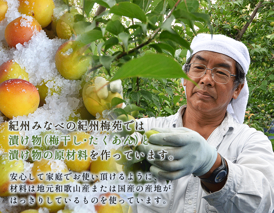 和歌山県みなべ町の梅農家「紀州梅苑」では漬け物(梅干し・梅酒など)の原材料を作っています