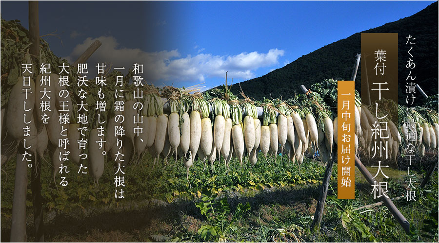 青梅（南高梅）販売・通販