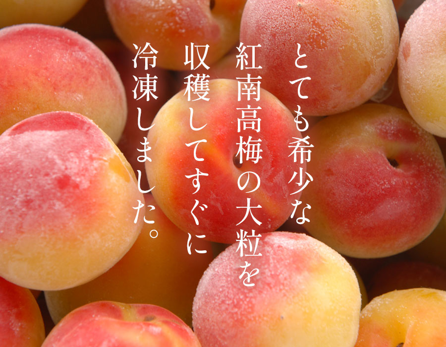 冷凍梅 厳選紅南高梅の販売・通販