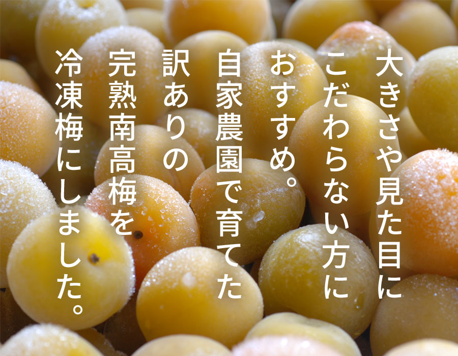冷凍梅 キズあり南高梅の販売・通販