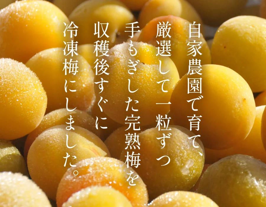 冷凍梅 厳選完熟梅の販売・通販