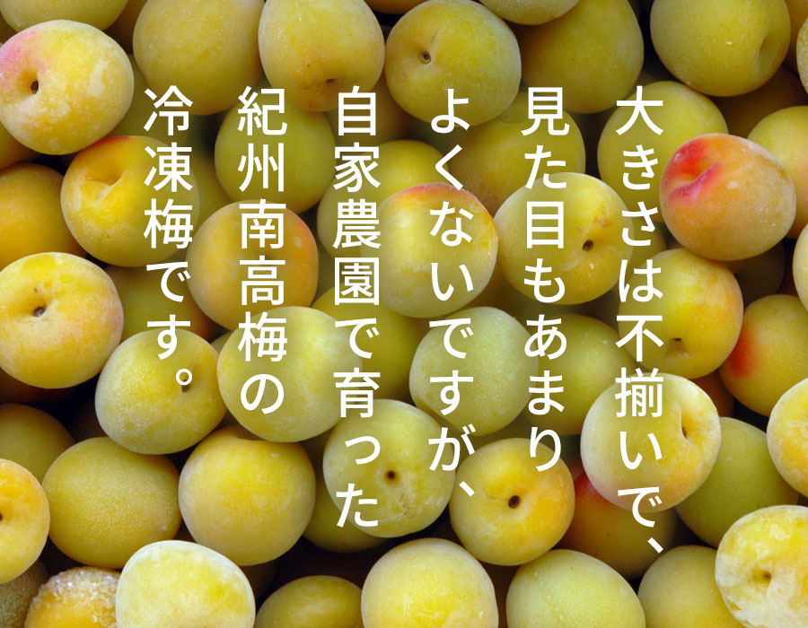 冷凍梅 キズあり完熟梅の販売・通販