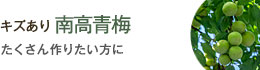 キズあり・訳あり南高梅