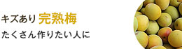 訳あり完熟梅