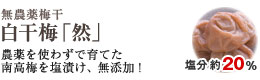 無農薬梅干 白干梅「然」