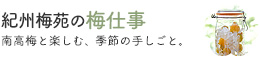 紀州梅苑の梅仕事