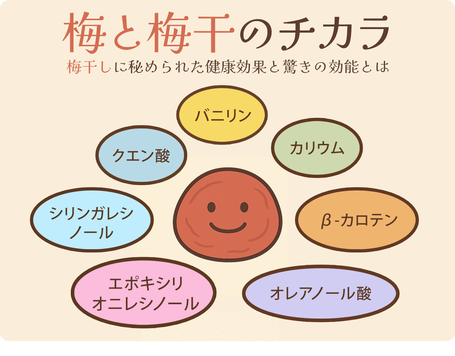 梅と梅干のチカラ～梅干しに秘められた健康効果と驚きの効能とは