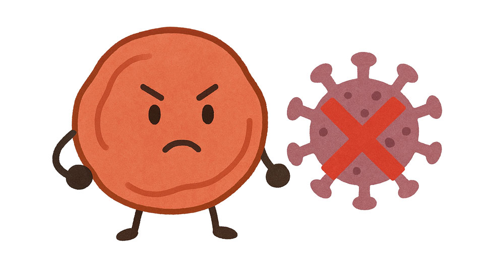 梅干には新型コロナウイルスに対する抗ウイルス作用が含まれています