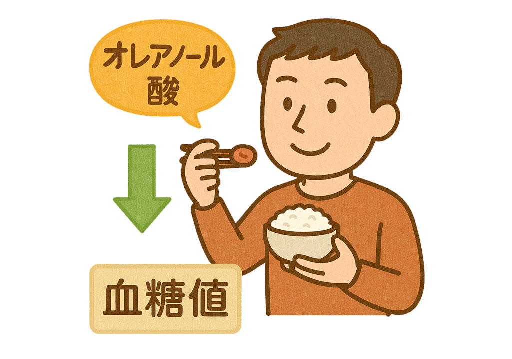 梅に含まれるオレアノール酸（糖尿病予防）