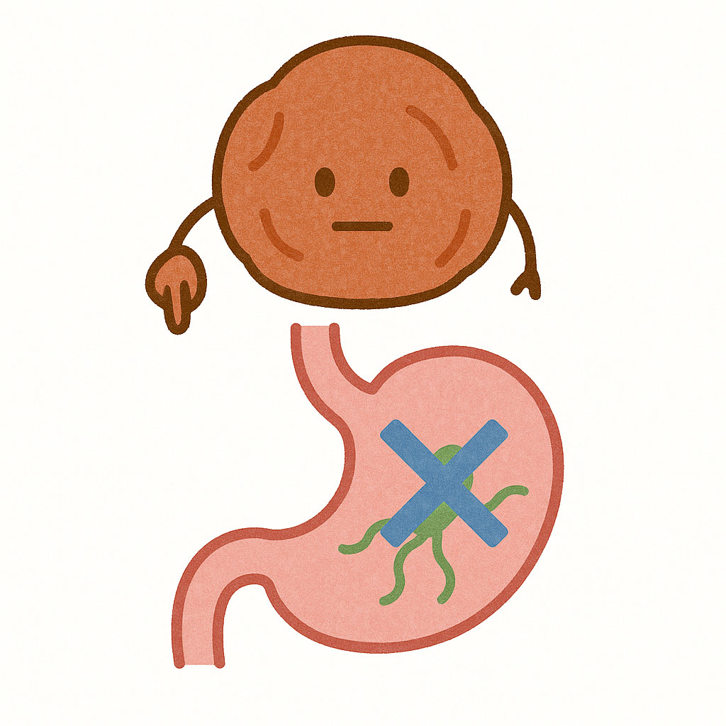 梅に含まれるシリンガレシノール（胃がん予防）