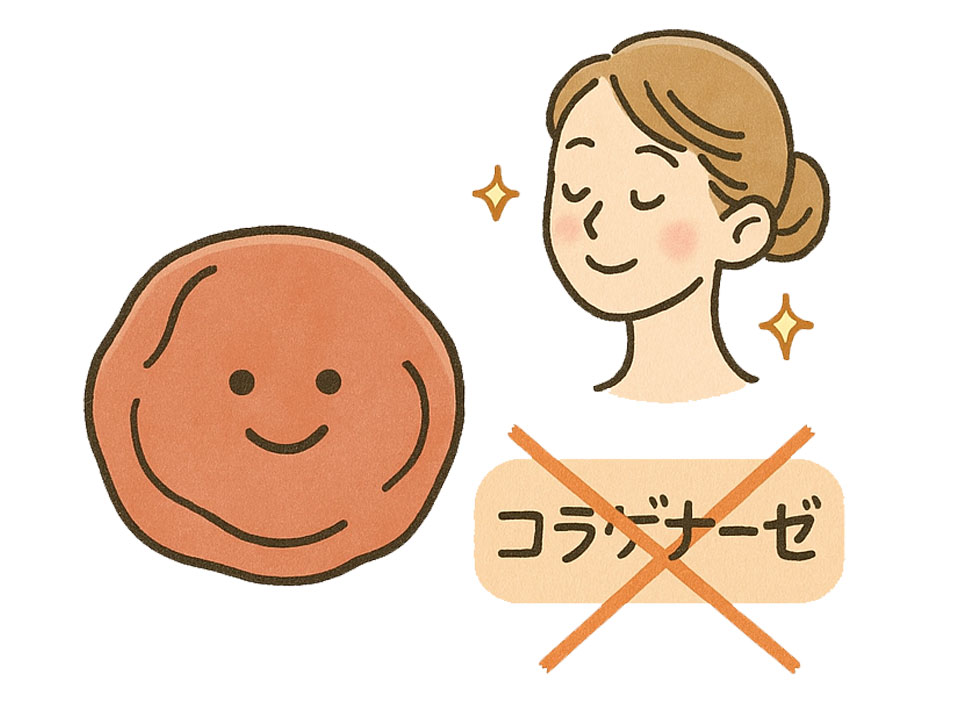 梅干にはコラーゲンの分解を抑える物質が含まれています